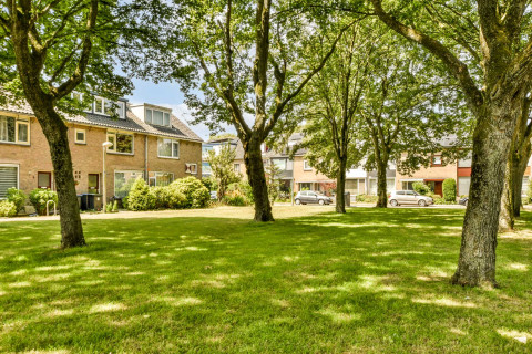 Een sfeervol huis met grote bomen aan de voorzijde. Groen en goed onderhouden bomen kunnen de waarde van je woning verhogen. Ontdek meer verrassende factoren bij Makelaarskantoor Langejan, dé makelaar in Rotterdam.