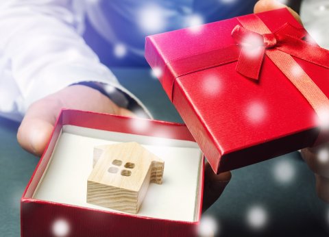 Verschillende opvallende en nuttige incentives die door verkopers worden aangeboden om potenti&euml;le kopers te overtuigen hun woning te kopen.